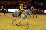 Quadrille - 00772